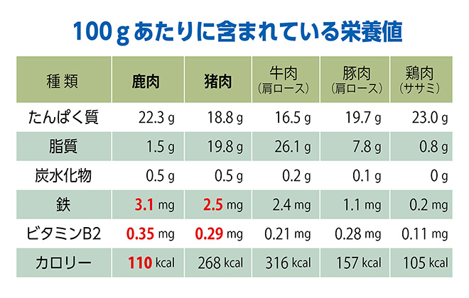 豊富な栄養